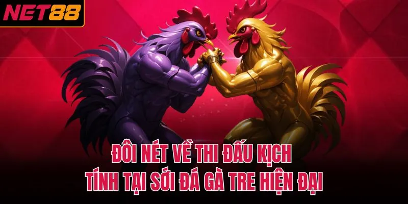 Đ&ocirc;i n&eacute;t về thi đấu kịch t&iacute;nh tại sới đ&aacute; g&agrave; tre hiện đại