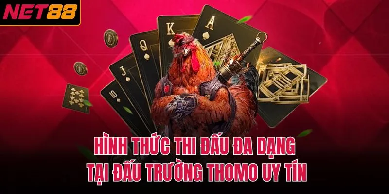 H&igrave;nh thức thi đấu đa dạng tại đấu trường Thomo uy t&iacute;n