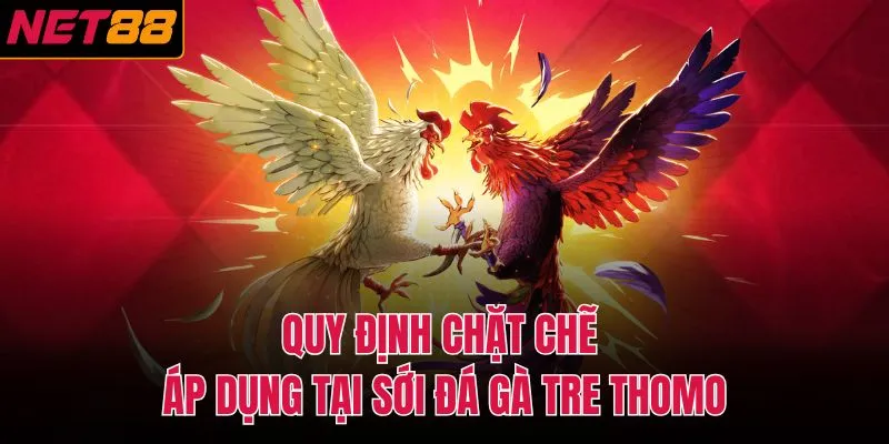 Quy định chặt chẽ &aacute;p dụng tại sới đ&aacute; g&agrave; tre thomo