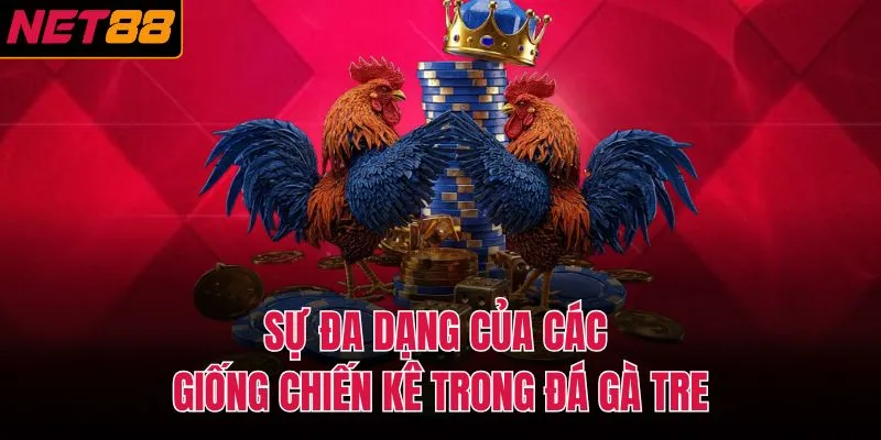 Sự đa dạng của c&aacute;c giống chiến k&ecirc; trong đ&aacute; g&agrave; tre