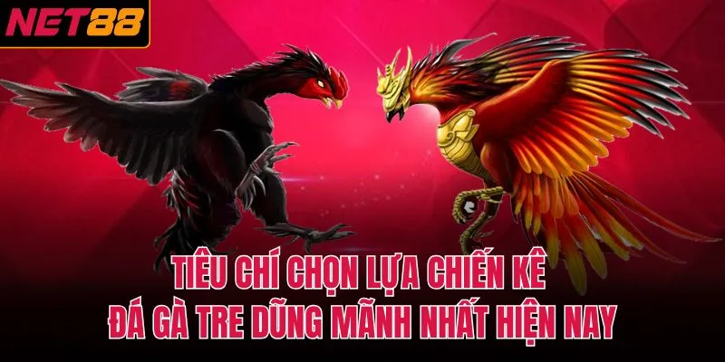 Ti&ecirc;u ch&iacute; chọn lựa chiến k&ecirc; đ&aacute; g&agrave; tre dũng m&atilde;nh nhất hiện nay