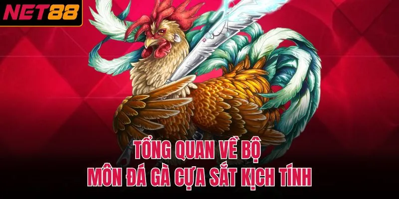 Tổng quan về bộ m&ocirc;n đ&aacute; g&agrave; cựa sắt kịch t&iacute;nh