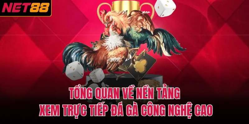 Tổng quan về nền tảng xem trực tiếp đ&aacute; g&agrave; c&ocirc;ng nghệ cao