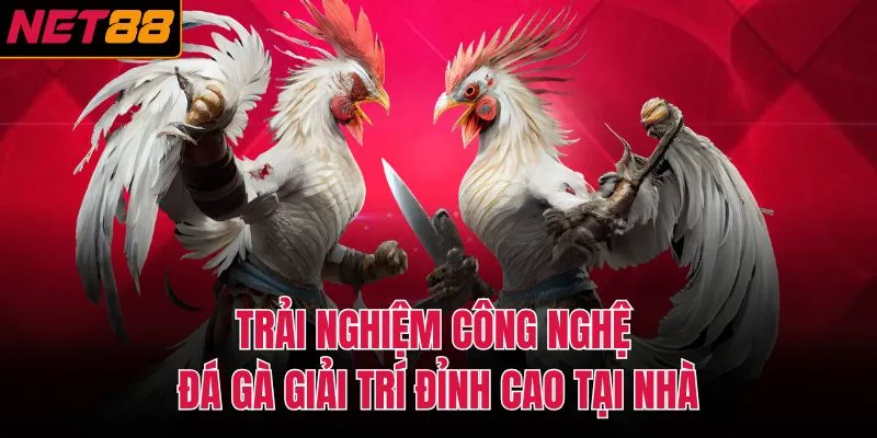 Trải nghiệm c&ocirc;ng nghệ đ&aacute; g&agrave; giải tr&iacute; đỉnh cao tại nh&agrave;&nbsp;